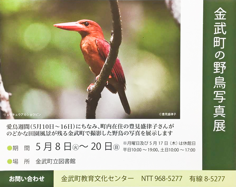 金武町の野鳥写真展