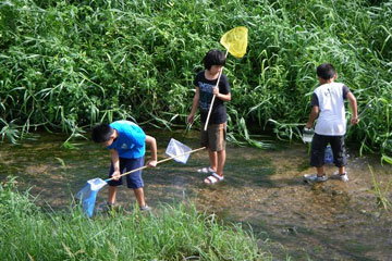 農家民宿　ひろみ園