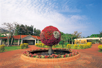 海洋博公園 - 熱帯・亜熱帯都市緑化植物園