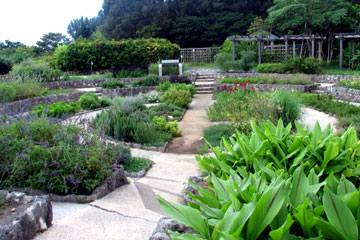 海洋博公園 - 熱帯・亜熱帯都市緑化植物園