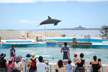 海洋博公園 - イルカラグーン