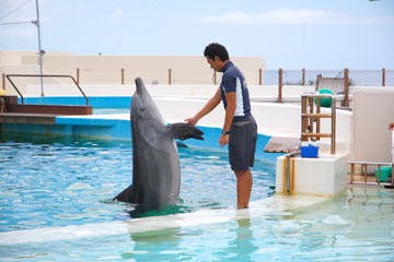 海洋博公園 - イルカラグーン