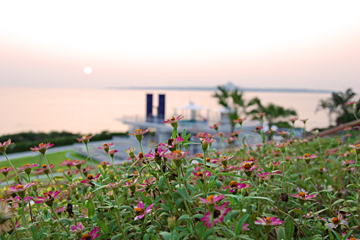 海洋博公園 - 夕陽の広場