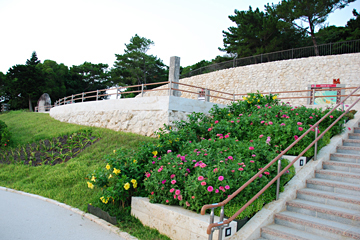 海洋博公園 - 夕陽の広場