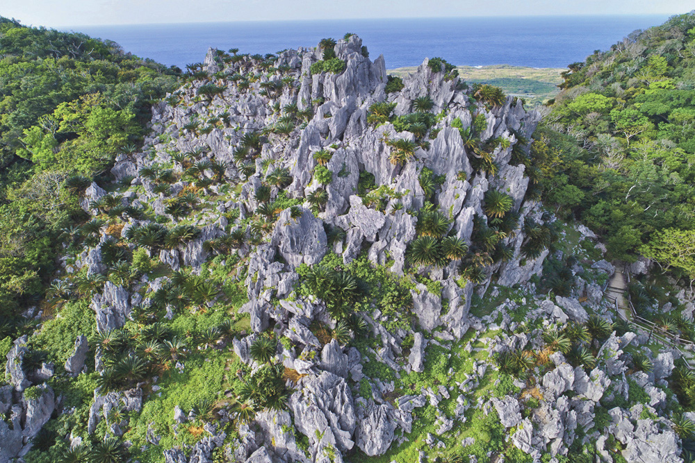 大石林山