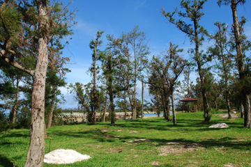 明地原公園キャンプ場（伊是名村）