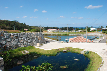 心安らぐ癒しの里　ハーソー公園