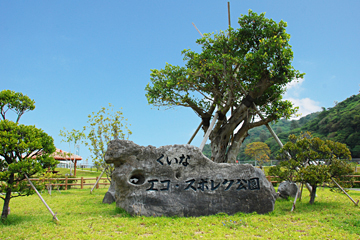 くいなエコ・スポレク公園