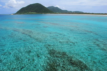 米崎海岸