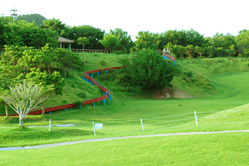 県民の森