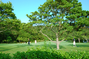 県民の森