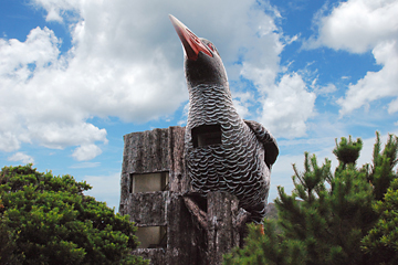 ヤンバルクイナ展望台