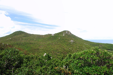 伊是名山森林公園