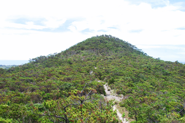 伊是名山森林公園