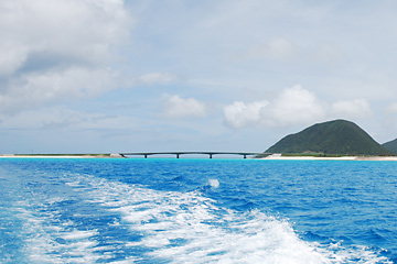 野甫大橋