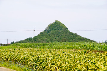 城山（ぐすくやま／伊江島タッチュー）