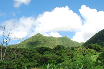 嘉津宇岳・安和岳・八重岳自然保護区