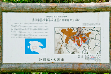 嘉津宇岳・安和岳・八重岳自然保護区