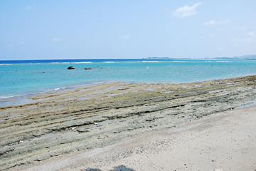 喜如嘉板敷海岸の板干瀬（いたびし）