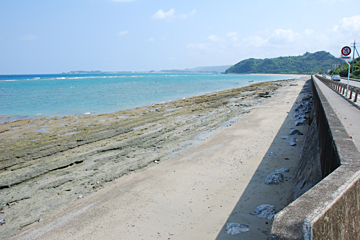 喜如嘉板敷海岸の板干瀬（いたびし）