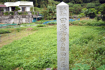 田港御願の植物群落