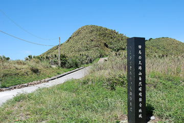 田名のクバ山