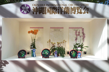 沖縄国際洋蘭博覧会（2月）