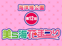 ～春あったか一番花の楽園へ～ 第12回 海洋博公園 美ら海花まつり