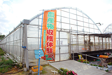 宜野座村イチゴ狩り体験（1月～5月）