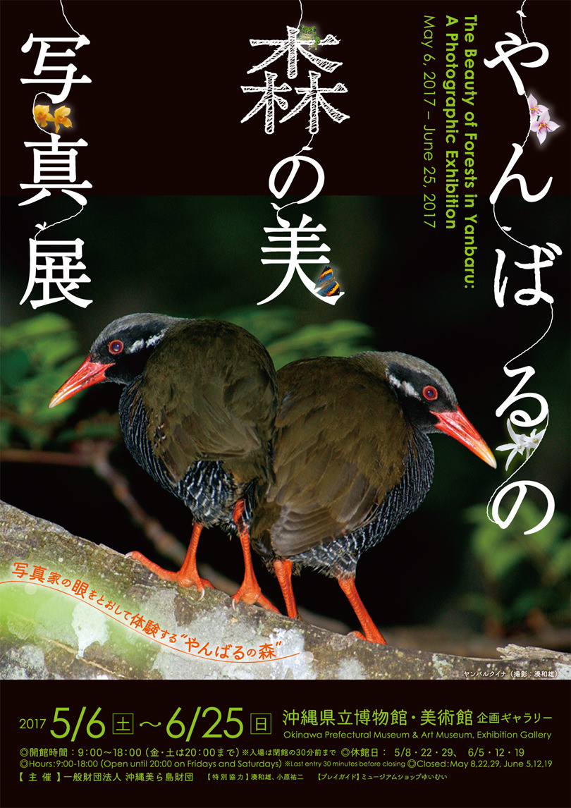 沖縄県立博物館・美術館「やんばるの森の美　―写真展」