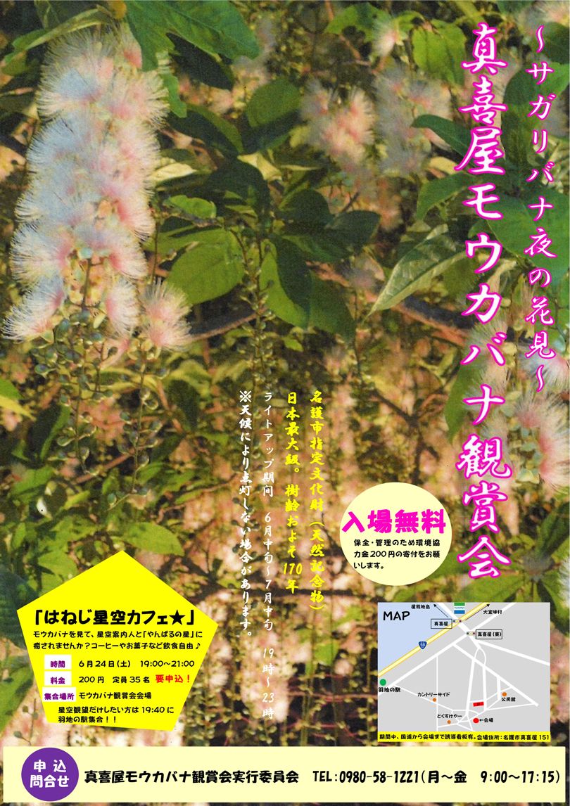 「～サガリバナ夜の花見～　真喜屋モウカバナ観賞会」開催