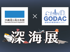 沖縄美ら海水族館×GODAC　深海展　―体験型ワークショップ―