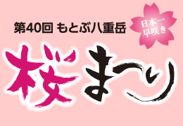 第40回もとぶ八重岳桜まつり