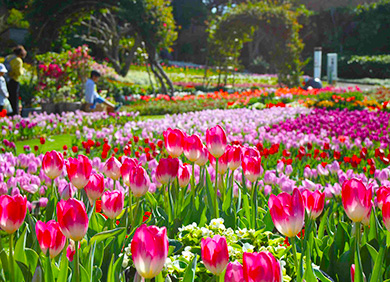 海洋博公園1月イベント