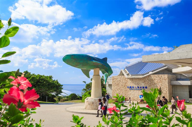 「沖縄美ら海水族館」と「沖縄国際洋蘭博覧会」のご案内