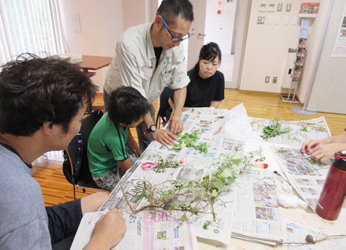 標本作製の様子