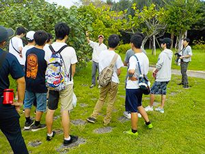「熱帯植物学習・観察ツアー」開催！
