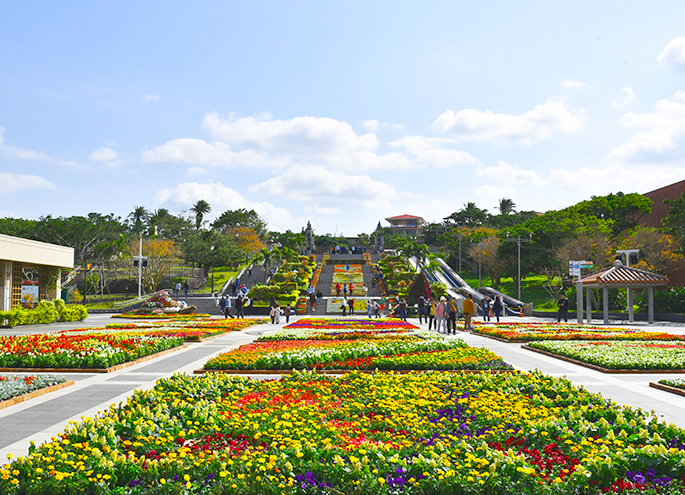 海洋博公園　第15回　美ら海花まつり開催！