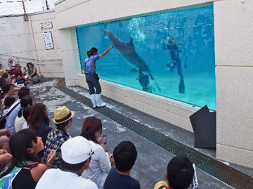 「イルカの能力に挑戦！」～人間は水中でイルカの能力を超えることができるのか～