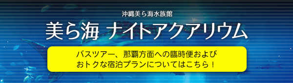 バスツアー、那覇方面への臨時便およびおトクな宿泊プランについてはこちら