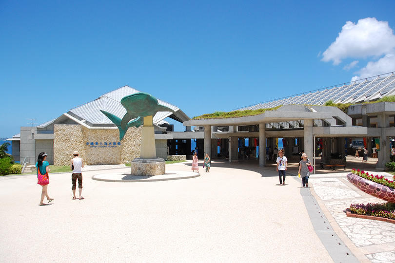 那覇発 沖縄美ら海水族館午後着プラン