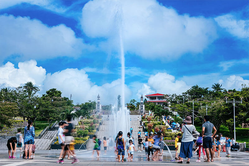 キッズと巡る海洋博公園プラン