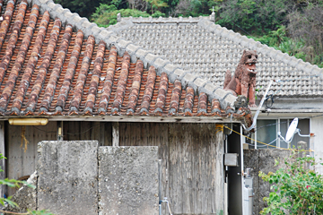 レンタカーでめぐる本島北部1周まるごとプラン