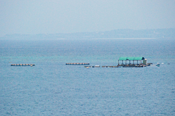 本部釣りイカダ（海生活）