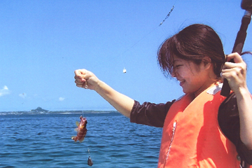 観光遊魚　ブルーバネッサ