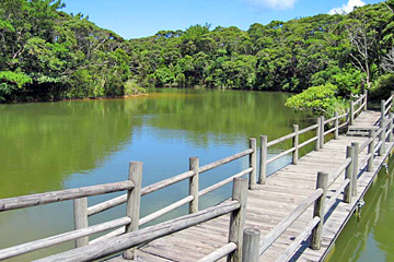 国頭村森林公園