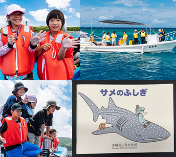 マンタやサメの飼育観察体験ツアー（OSC株式会社）