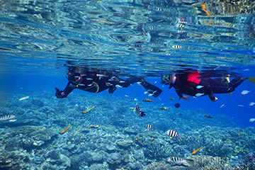 TEERA SCUBA VENTURES, OKINAWA