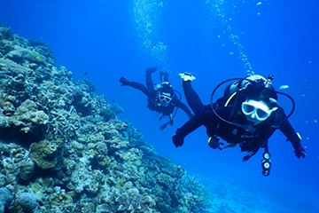 TEERA SCUBA VENTURES, OKINAWA