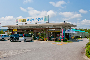 沖縄かぐや姫 バラ 花祭り 1月 5月 ピックアップ 沖縄北部観光支援ナビゲーションサイト やんばる旅なび